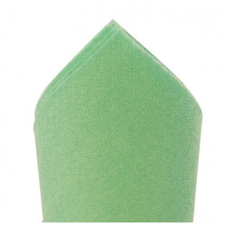 Serviette Ouate 2 Plis Vert Pomme