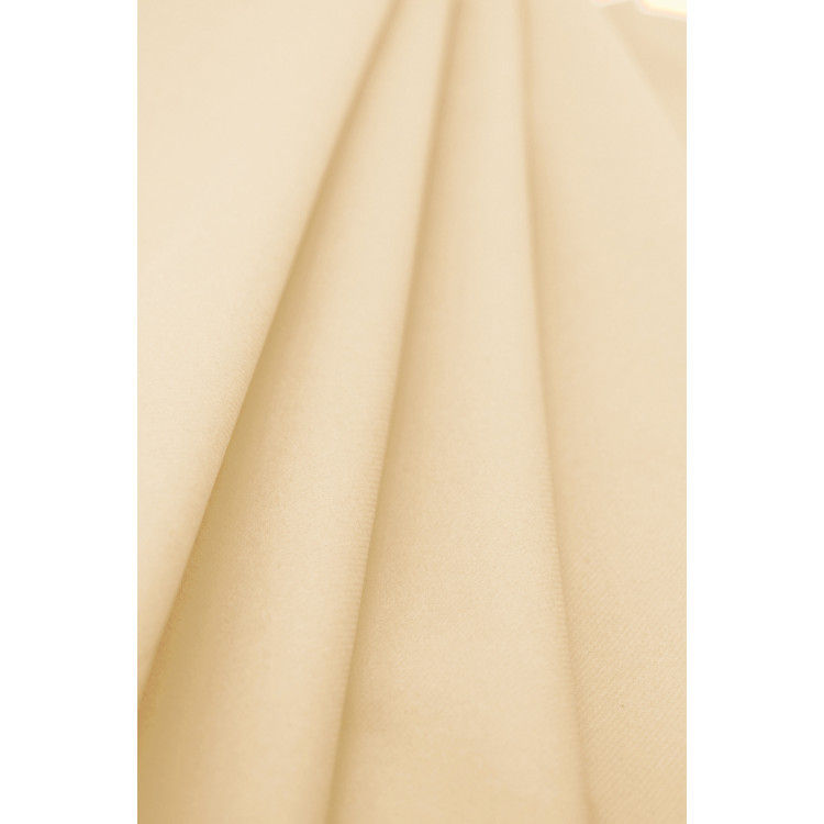 Nappe Rouleau Airlaid Champagne